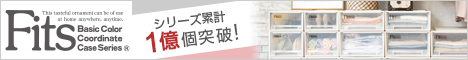 フィッツケース