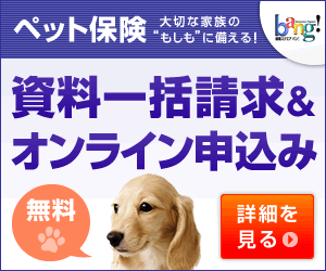 イタリア語由来のオシャレな名前ランキング 犬の名前 オスメスかわいい目指せ愛されワンコ