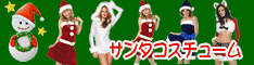 クリスマス・サンタコスチューム