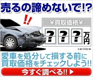 カービュー事故車