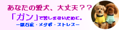 ピーチェック!
