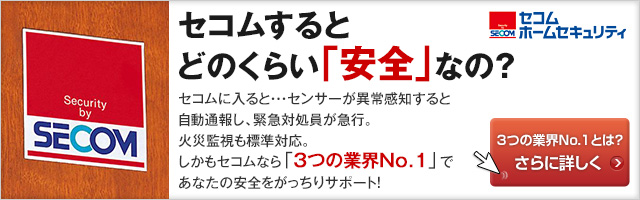 HS系