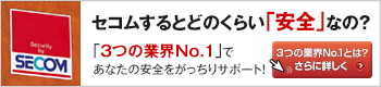 HS系