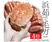 かにまみれ商品購入