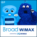 Broad WiMAX