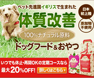 飼いやすい中型犬ランキング 性格がおとなしい室内犬もチェック やおよろず 1 飼いやすい中型犬ランキング 性格がおとなしい室内犬もチェック やおよろず 1