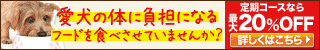 体質改善