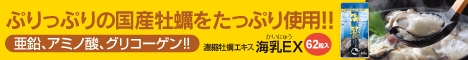 海乳EX【定期ロングバージョンバナー】