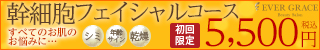 集中or全身スリムコース