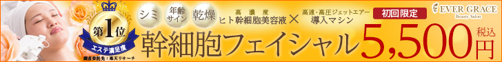 集中or全身スリムコース