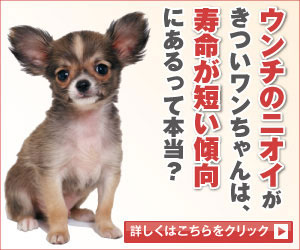犬用サプリ