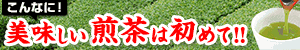 掛川茶セット