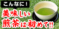 掛川茶セット