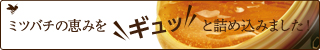 オクタードEX ジェリーRH