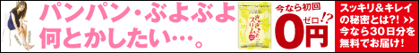 ppނ݁E_CGbg/[カƃX]