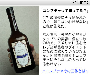 KOMBUCHA(コンブチャ)