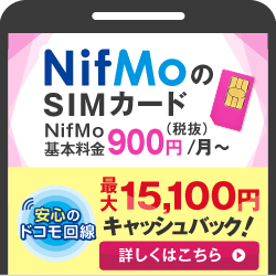 音声SIM（1.1GB）