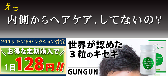 ぐんぐんGUNGUNの商品画像