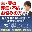 響（ひびき）・Agent