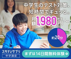 スタディサプリ小学講座で小学生の成績は上がらない 勉強の本質がわかれば成績は上がる Learning