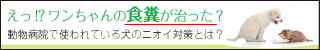 獣医さんのサプリ