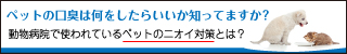 獣医さんのサプリ