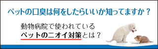 獣医さんのサプリ