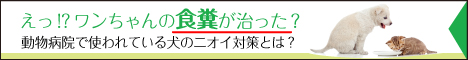 獣医さんのサプリ