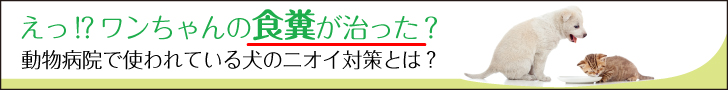 獣医さんのサプリ