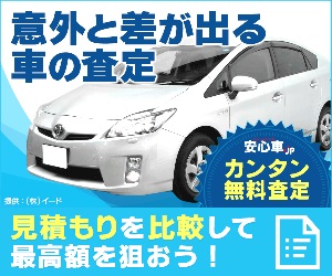 安心車.jp