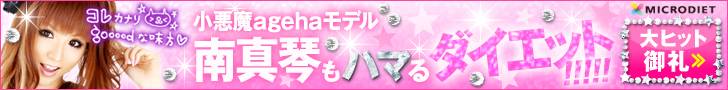 �}�C�N���_�C�G�b�g