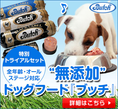 新規バナー