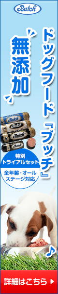 新規バナー