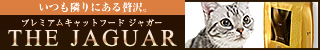 ジャガー2