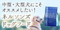ڥͥ륽󥺥ɥåաɡ緿˥!̡ʼɥåա