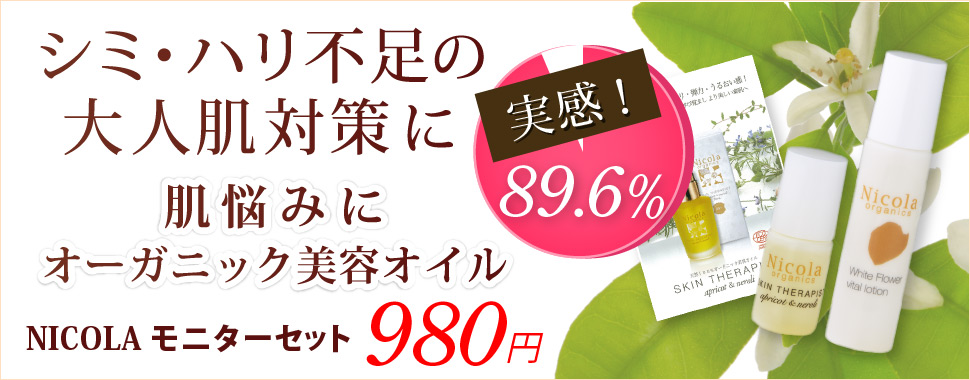 モニターセット