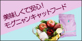 ڥ⥰˥󥭥åȥաɡ۹̣襤ɵᤷåȥա