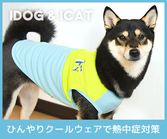 カテゴリページ(クールミー)